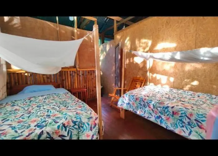 Auberge de jeunesse Greenland Eco Amazon *