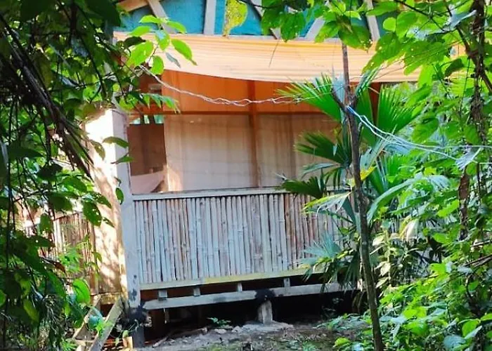Greenland Eco Amazon * Paucartambo